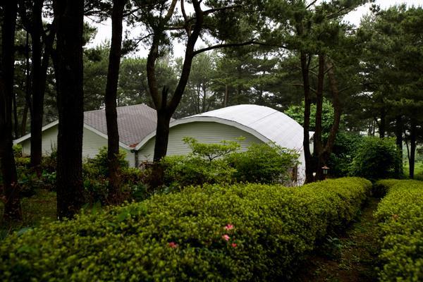 Rnb Town Pension Seogwipo Exterior photo